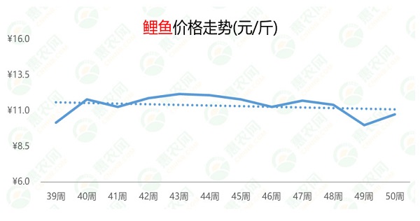 2025年1月10日 第12页